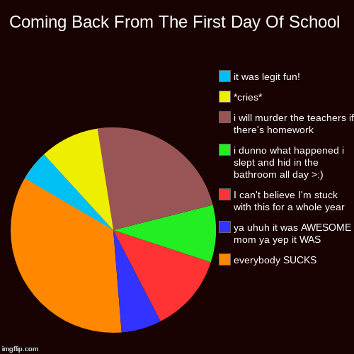 Coming Back From The First Day Of School | everybody SUCKS, ya uhuh it was AWESOME mom ya yep it WAS , I can't believe I'm stuck with this f | image tagged in funny,pie charts | made w/ Imgflip chart maker