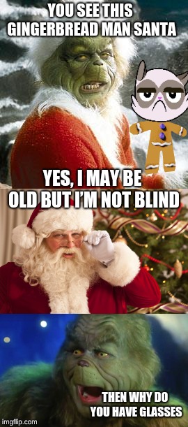 is this good | YOU SEE THIS GINGERBREAD MAN SANTA; YES, I MAY BE OLD BUT I’M NOT BLIND; THEN WHY DO YOU HAVE GLASSES | image tagged in grinch,santa | made w/ Imgflip meme maker