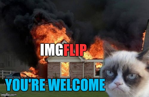 Burn Kitty Meme | IMG FLIP YOU'RE WELCOME | image tagged in memes,burn kitty,grumpy cat,phteven dog,tuna the dog phteven | made w/ Imgflip meme maker