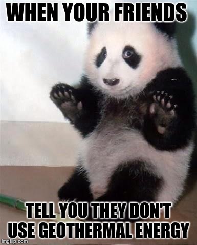 Hands Up panda |  WHEN YOUR FRIENDS; TELL YOU THEY DON'T USE GEOTHERMAL ENERGY | image tagged in hands up panda | made w/ Imgflip meme maker