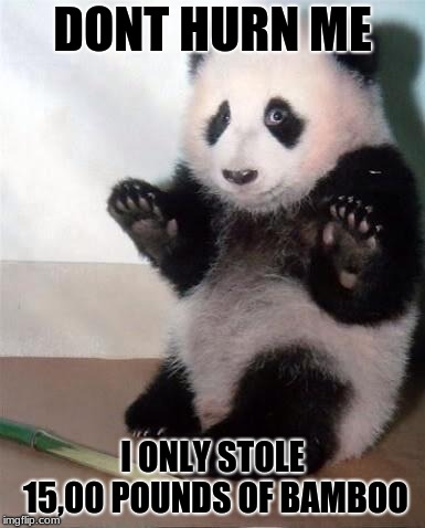 Hands Up panda |  DONT HURN ME; I ONLY STOLE 15,00 POUNDS OF BAMBOO | image tagged in hands up panda | made w/ Imgflip meme maker