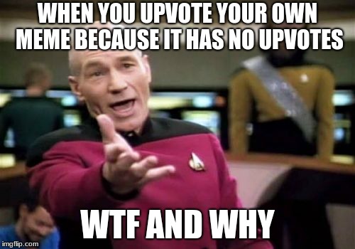 Picard Wtf | WHEN YOU UPVOTE YOUR OWN MEME BECAUSE IT HAS NO UPVOTES; WTF AND WHY | image tagged in memes,picard wtf | made w/ Imgflip meme maker