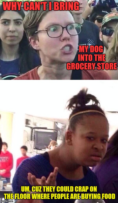 I don't understand some of those dog owners that bring their dogs into stores | WHY CAN'T I BRING; MY DOG INTO THE GROCERY STORE; UM, CUZ THEY COULD CRAP ON THE FLOOR WHERE PEOPLE ARE BUYING FOOD | image tagged in triggered liberal,whut,dog owners,dogs | made w/ Imgflip meme maker
