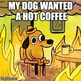 Dog in burning house | MY DOG WANTED A HOT COFFEE | image tagged in dog in burning house | made w/ Imgflip meme maker