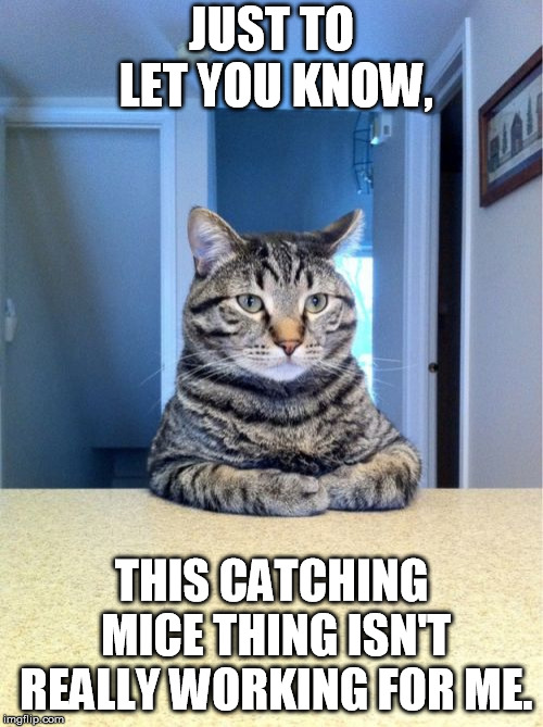 Take A Seat Cat Meme | JUST TO LET YOU KNOW, THIS CATCHING MICE THING ISN'T REALLY WORKING FOR ME. | image tagged in memes,take a seat cat | made w/ Imgflip meme maker