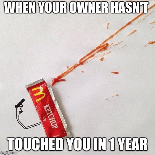 Rip 
Ketchup 2017-2018 | WHEN YOUR OWNER HASN'T; TOUCHED YOU IN 1 YEAR | image tagged in ketchup,rip | made w/ Imgflip meme maker