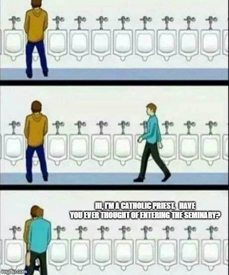 Urinal | HI, I'M A CATHOLIC PRIEST.   HAVE YOU EVER THOUGHT OF ENTERING THE SEMINARY? | image tagged in urinal | made w/ Imgflip meme maker