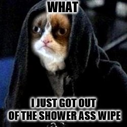 what | WHAT; I JUST GOT OUT OF THE SHOWER ASS WIPE | image tagged in grumpy cat star wars,grumpy cat not amused,what,funny cat memes,star wars meme | made w/ Imgflip meme maker