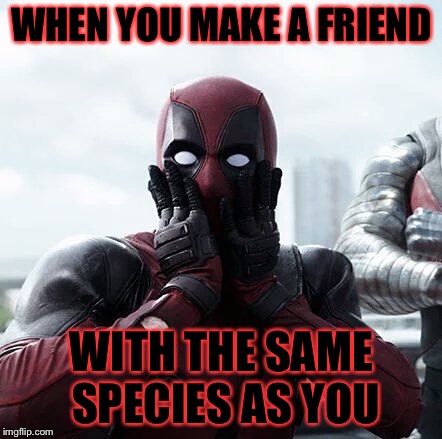 Deadpool Surprised | WHEN YOU MAKE A FRIEND; WITH THE SAME SPECIES AS YOU | image tagged in memes,deadpool surprised | made w/ Imgflip meme maker
