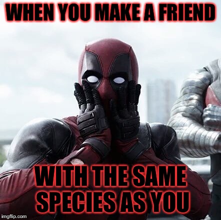 Deadpool Surprised Meme | WHEN YOU MAKE A FRIEND; WITH THE SAME SPECIES AS YOU | image tagged in memes,deadpool surprised | made w/ Imgflip meme maker