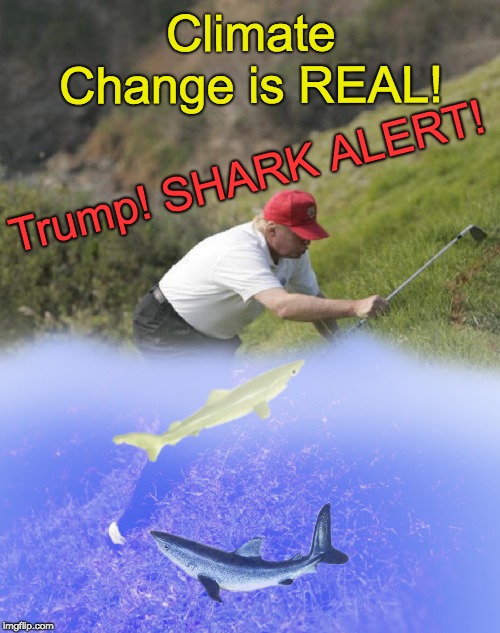 Climate Change is real! Trump! Shark Alert! | Climate Change is REAL! Trump! SHARK ALERT! | image tagged in climate change trump shark alert,shark,trump,climate change,trump golfing,trump underwater | made w/ Imgflip meme maker