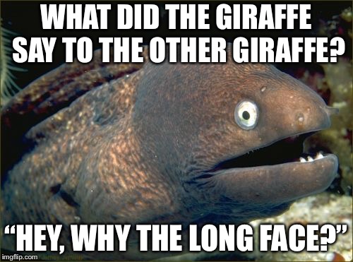 Father jokes make great meme material | WHAT DID THE GIRAFFE SAY TO THE OTHER GIRAFFE? “HEY, WHY THE LONG FACE?” | image tagged in memes,bad joke eel,giraffe | made w/ Imgflip meme maker