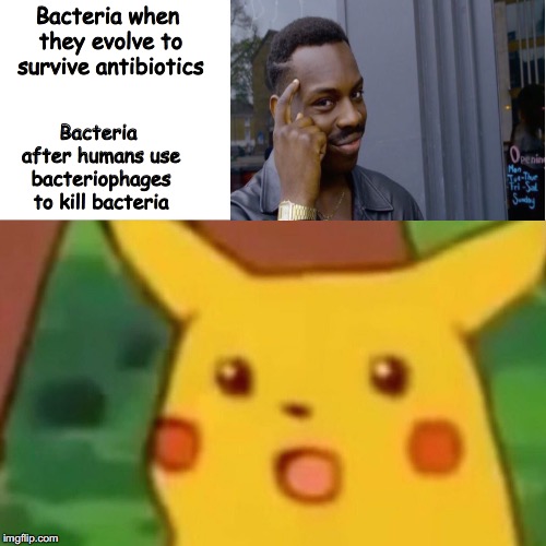 Humans are tenacious bastars | Bacteria when they evolve to survive antibiotics; Bacteria after humans use bacteriophages to kill bacteria | image tagged in memes,surprised pikachu | made w/ Imgflip meme maker