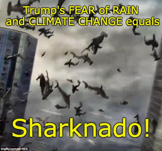 Trump rain and climate change = SHARKNADO! | Trump's FEAR of RAIN and CLIMATE CHANGE equals; Sharknado! | image tagged in sharknado,trump fear of sharks,trump fears rain,trump fears climate change,sharks | made w/ Imgflip meme maker