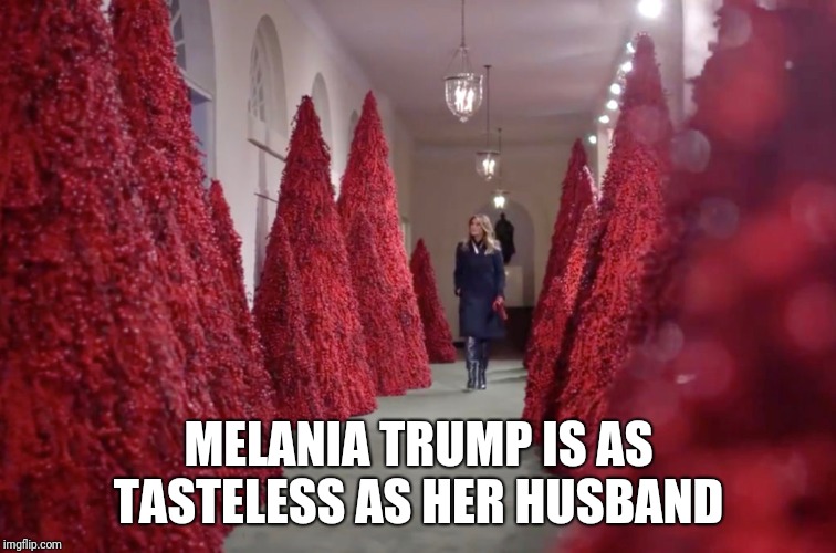 Memes | MELANIA TRUMP IS AS TASTELESS AS HER HUSBAND | image tagged in donald trump | made w/ Imgflip meme maker
