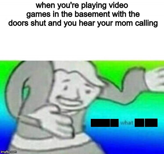 Fallout What thy f*ck | when you're playing video games in the basement with the doors shut and you hear your mom calling | image tagged in fallout what thy fck | made w/ Imgflip meme maker