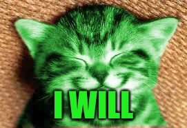 happy RayCat | I WILL | image tagged in happy raycat | made w/ Imgflip meme maker