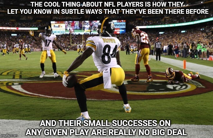 Dennis Miller wrote this.  I tend to agree. | THE COOL THING ABOUT NFL PLAYERS IS HOW THEY LET YOU KNOW IN SUBTLE WAYS THAT THEY’VE BEEN THERE BEFORE; AND THEIR SMALL SUCCESSES ON ANY GIVEN PLAY ARE REALLY NO BIG DEAL | image tagged in dennis,nfl,nfl memes,nfl football | made w/ Imgflip meme maker