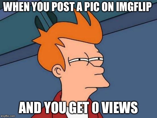 Futurama Fry | WHEN YOU POST A PIC ON IMGFLIP; AND YOU GET 0 VIEWS | image tagged in memes,futurama fry | made w/ Imgflip meme maker
