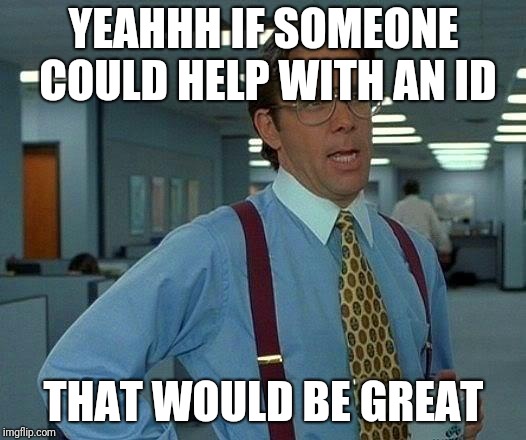That Would Be Great Meme | YEAHHH IF SOMEONE COULD HELP WITH AN ID; THAT WOULD BE GREAT | image tagged in memes,that would be great | made w/ Imgflip meme maker