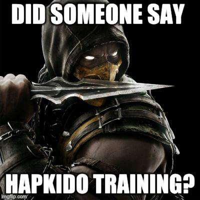 DID SOMEONE SAY HAPKIDO TRAINING? | made w/ Imgflip meme maker