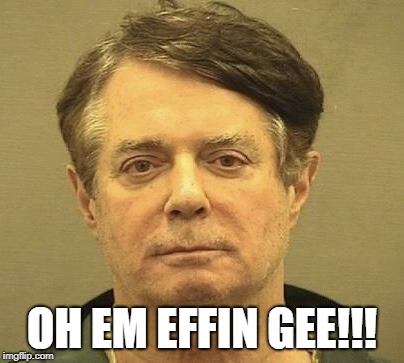 Manafort Mugshot | OH EM EFFIN GEE!!! | image tagged in manafort mugshot | made w/ Imgflip meme maker