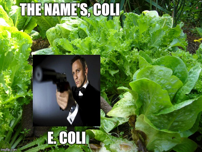 Coli, E. Coli | THE NAME'S, COLI; E. COLI | image tagged in killer lettuce,romaine,e coli,james bond,nsfe,not safe for eating | made w/ Imgflip meme maker