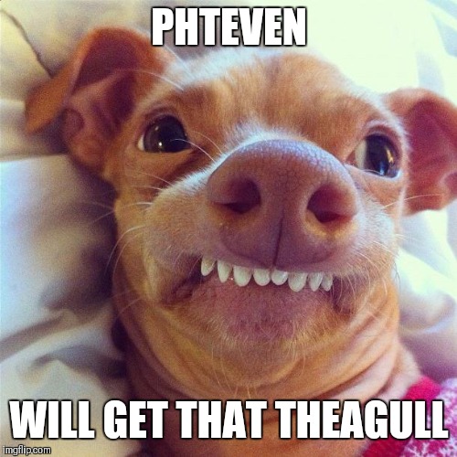 PHTEVEN | PHTEVEN WILL GET THAT THEAGULL | image tagged in phteven | made w/ Imgflip meme maker