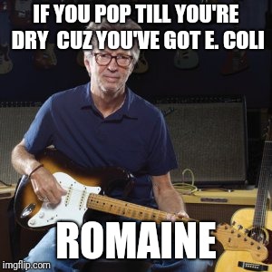 Good guy eric clapton | IF YOU POP TILL YOU'RE DRY

CUZ YOU'VE GOT E. COLI ROMAINE | image tagged in good guy eric clapton | made w/ Imgflip meme maker