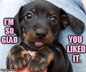 I'M SO GLAD YOU LIKED  IT. | made w/ Imgflip meme maker