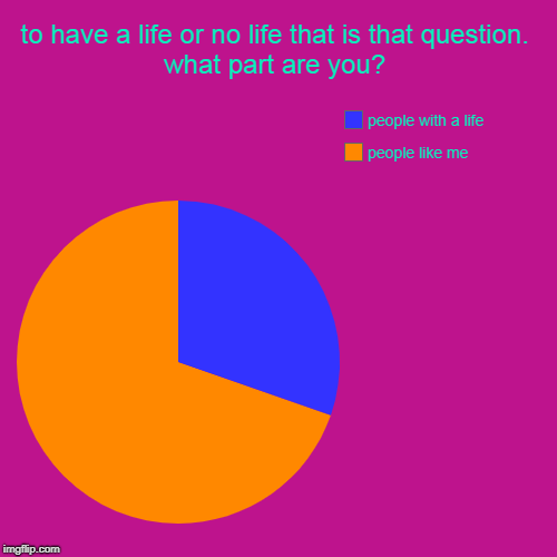 to have a life or no life that is that question. what part are you? | people like me, people with a life | image tagged in funny,pie charts | made w/ Imgflip chart maker