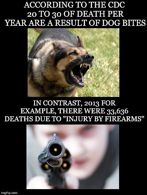In Contrast | ACCORDING TO THE CDC 20 TO 30 OF DEATH PER YEAR ARE A RESULT OF DOG BITES; IN CONTRAST, 2013 FOR EXAMPLE, THERE WERE 33,636 DEATHS DUE TO "INJURY BY FIREARMS" | image tagged in dogs,bites,guns,fatalities,firearms,injury | made w/ Imgflip meme maker