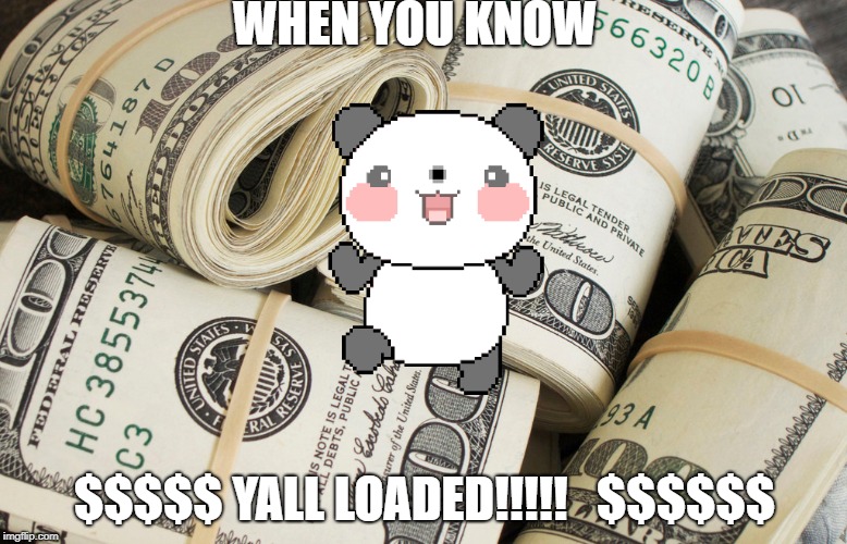 WHEN YOU KNOW; $$$$$ YALL LOADED!!!!!   $$$$$$ | image tagged in pandaparty | made w/ Imgflip meme maker