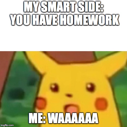 Surprised Pikachu Meme | MY SMART SIDE: YOU HAVE HOMEWORK; ME: WAAAAAA | image tagged in memes,surprised pikachu | made w/ Imgflip meme maker