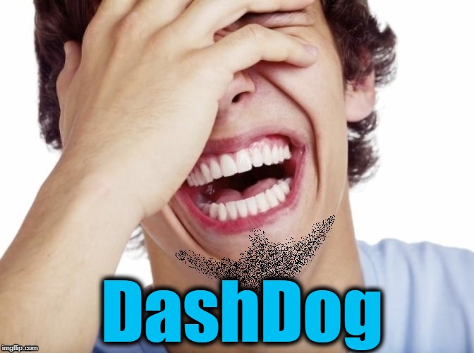 lol | DashDog | image tagged in lol | made w/ Imgflip meme maker