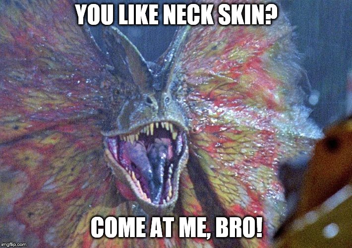 YOU LIKE NECK SKIN? COME AT ME, BRO! | made w/ Imgflip meme maker