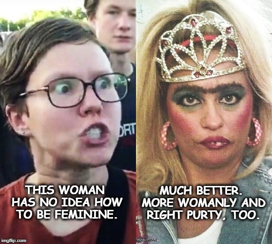 There's nothing to compare with the Eternal Virtues. | MUCH BETTER. MORE WOMANLY AND RIGHT PURTY, TOO. THIS WOMAN HAS NO IDEA HOW TO BE FEMININE. | image tagged in feminine,beauty,womanly,triggered feminist | made w/ Imgflip meme maker