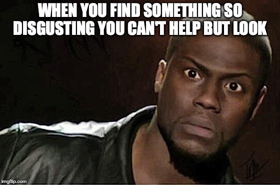 Kevin Hart Meme | WHEN YOU FIND SOMETHING SO DISGUSTING YOU CAN'T HELP BUT LOOK | image tagged in memes,kevin hart | made w/ Imgflip meme maker