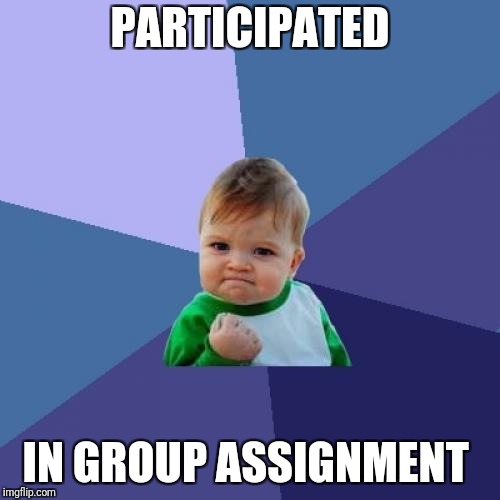Success Kid Meme | PARTICIPATED; IN GROUP ASSIGNMENT | image tagged in memes,success kid | made w/ Imgflip meme maker