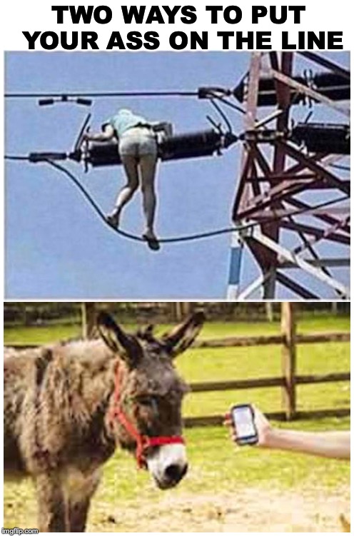 TWO WAYS TO PUT YOUR ASS ON THE LINE | image tagged in ass,donkey,danger,funny memes | made w/ Imgflip meme maker