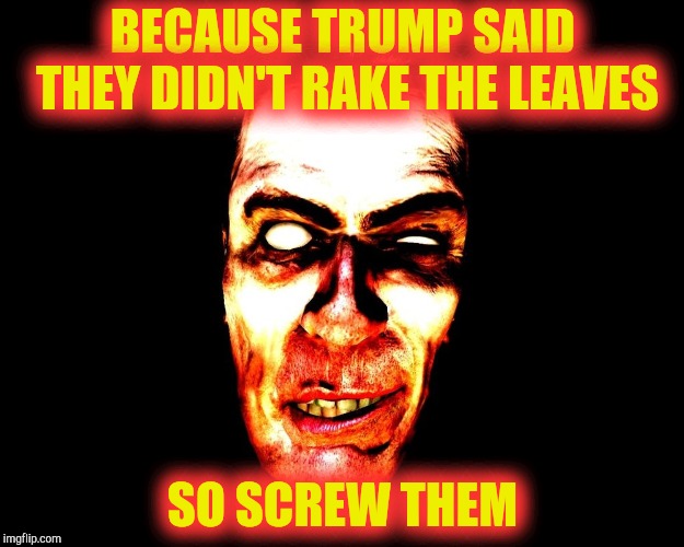 BECAUSE TRUMP SAID THEY DIDN'T RAKE THE LEAVES SO SCREW THEM | image tagged in g-man from half-life | made w/ Imgflip meme maker