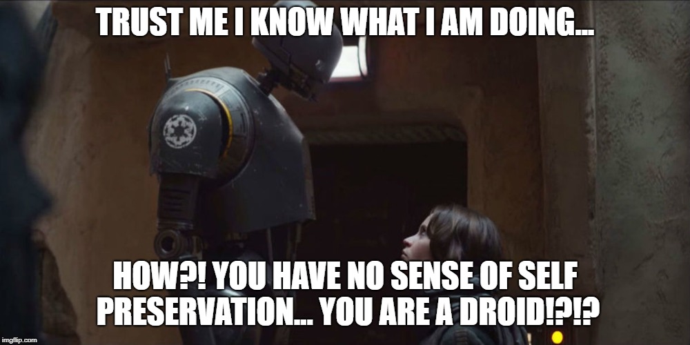 TRUST ME I KNOW WHAT I AM DOING... HOW?! YOU HAVE NO SENSE OF SELF PRESERVATION... YOU ARE A DROID!?!? | image tagged in star wars,wisdom | made w/ Imgflip meme maker