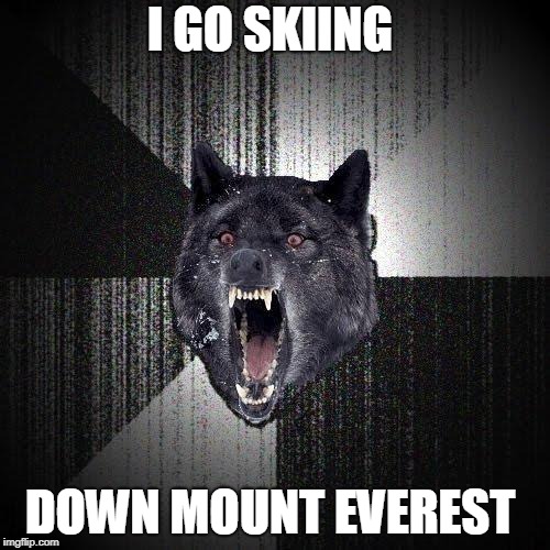 Insanity Wolf Meme | I GO SKIING; DOWN MOUNT EVEREST | image tagged in memes,insanity wolf | made w/ Imgflip meme maker