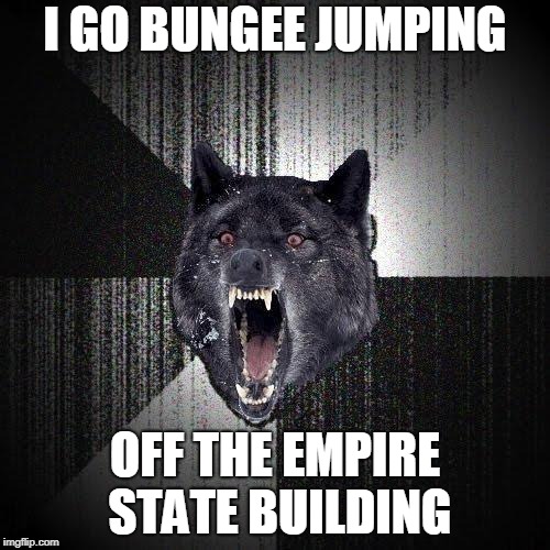 Insanity Wolf Meme | I GO BUNGEE JUMPING; OFF THE EMPIRE STATE BUILDING | image tagged in memes,insanity wolf | made w/ Imgflip meme maker