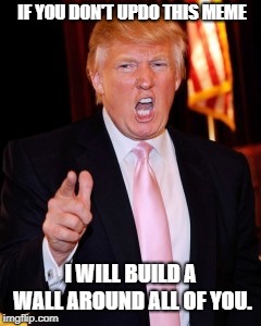 Donald Trump | IF YOU DON'T UPDO THIS MEME; I WILL BUILD A WALL AROUND ALL OF YOU. | image tagged in donald trump | made w/ Imgflip meme maker