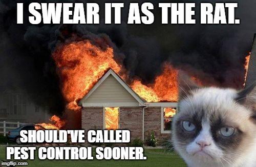 Burn Kitty | I SWEAR IT AS THE RAT. SHOULD'VE CALLED PEST CONTROL SOONER. | image tagged in memes,burn kitty,grumpy cat | made w/ Imgflip meme maker