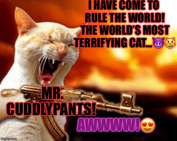 machine gun cat | I HAVE COME TO RULE THE WORLD! THE WORLD’S MOST TERRIFYING CAT...😈😼; MR. CUDDLYPANTS! AWWWW!😍 | image tagged in machine gun cat | made w/ Imgflip meme maker