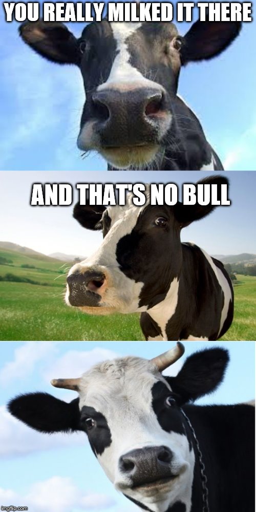 Bad Pun Cow | YOU REALLY MILKED IT THERE AND THAT'S NO BULL | image tagged in bad pun cow | made w/ Imgflip meme maker