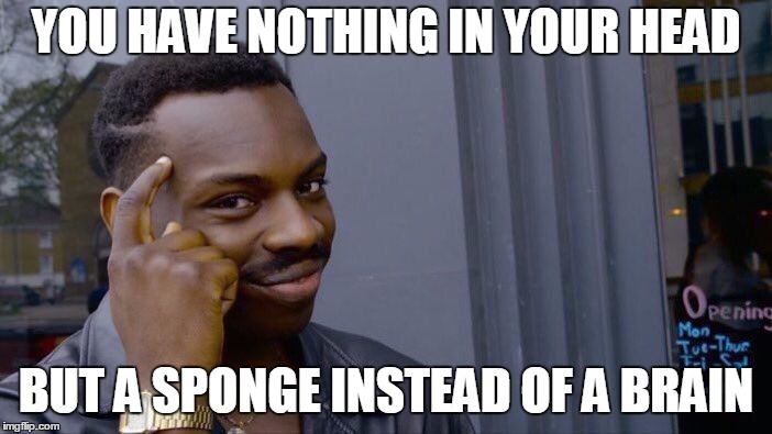 sponge brain | YOU HAVE NOTHING IN YOUR HEAD; BUT A SPONGE INSTEAD OF A BRAIN | image tagged in memes,roll safe think about it | made w/ Imgflip meme maker