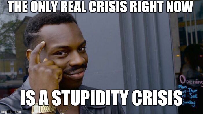 Roll Safe Think About It Meme | THE ONLY REAL CRISIS RIGHT NOW IS A STUPIDITY CRISIS | image tagged in memes,roll safe think about it | made w/ Imgflip meme maker